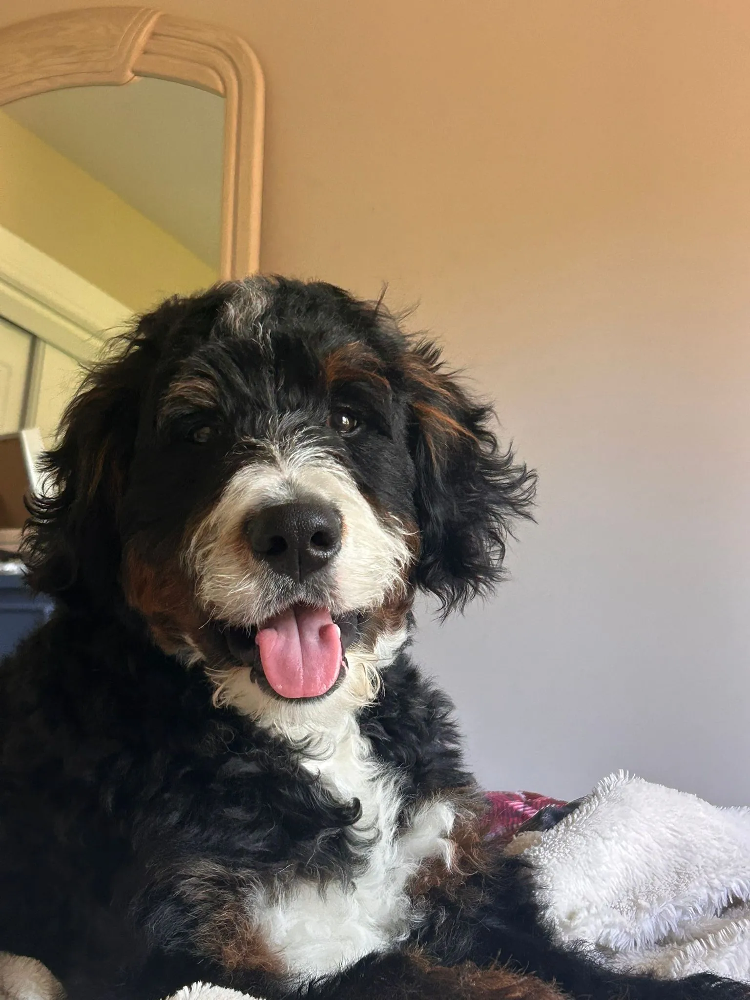 0bc2135c-b2f8-457d-b02d-6781a5b1b625