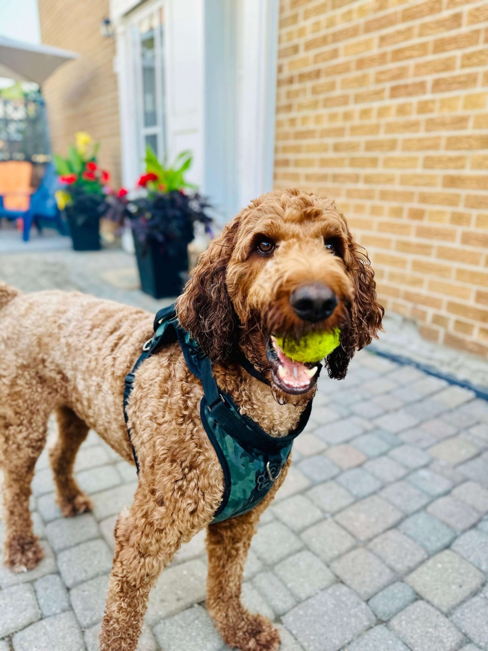 WhatsApp Image 2025-04-23 at 6.30.26 PM