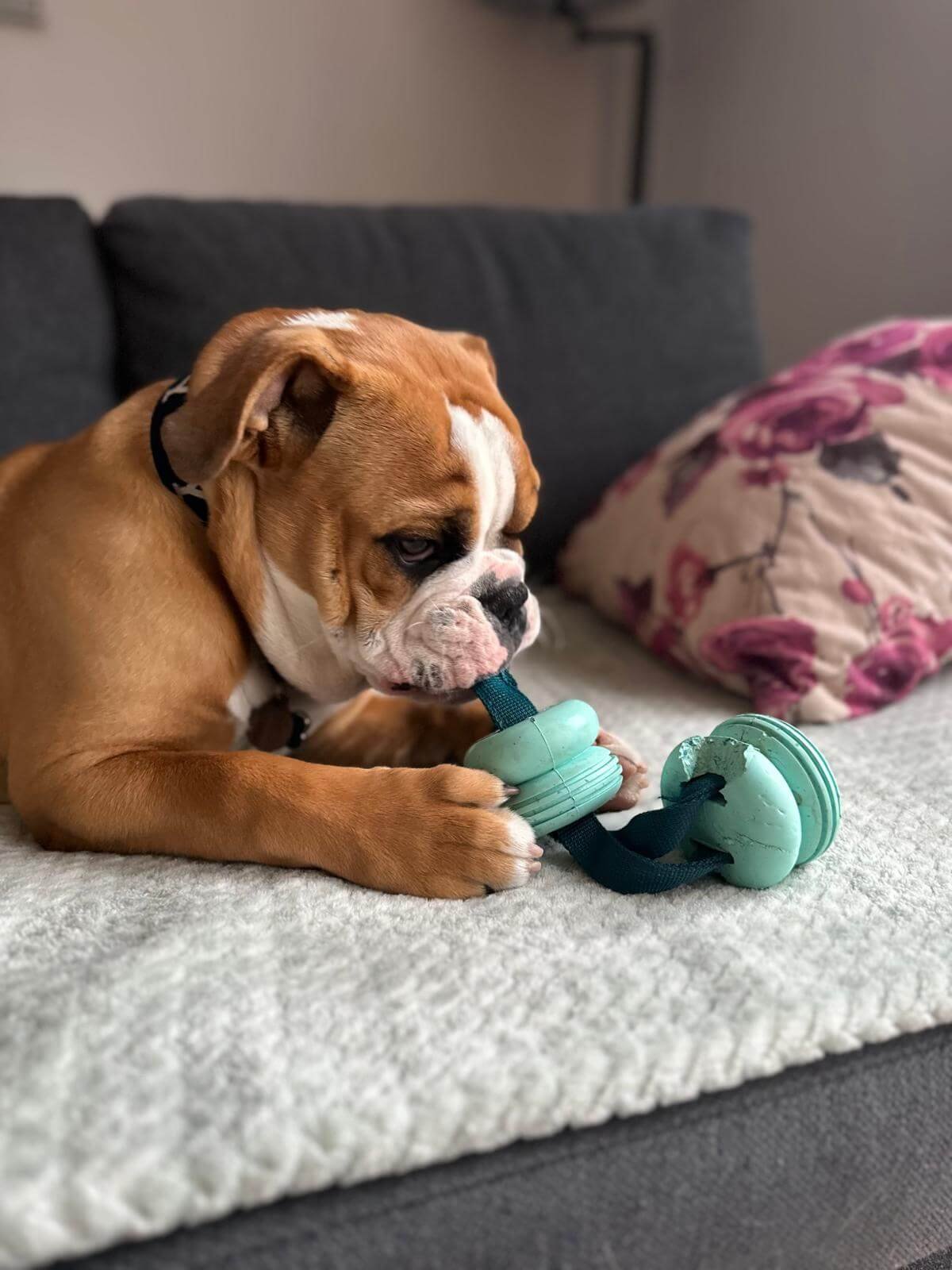 WhatsApp Image 2025-04-23 at 6.51.03 PM