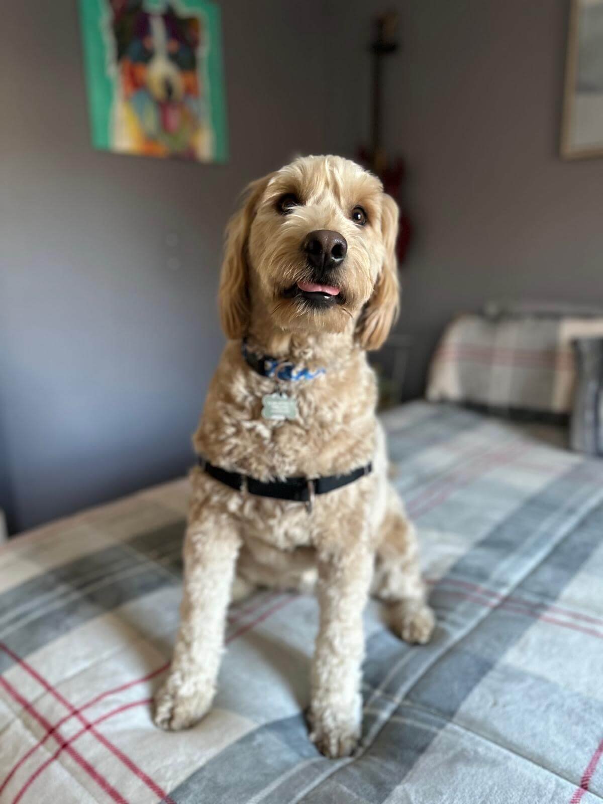 WhatsApp Image 2025-04-23 at 6.51.35 PM