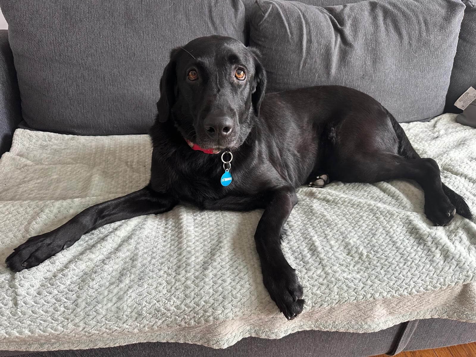 WhatsApp Image 2025-04-23 at 6.51.49 PM