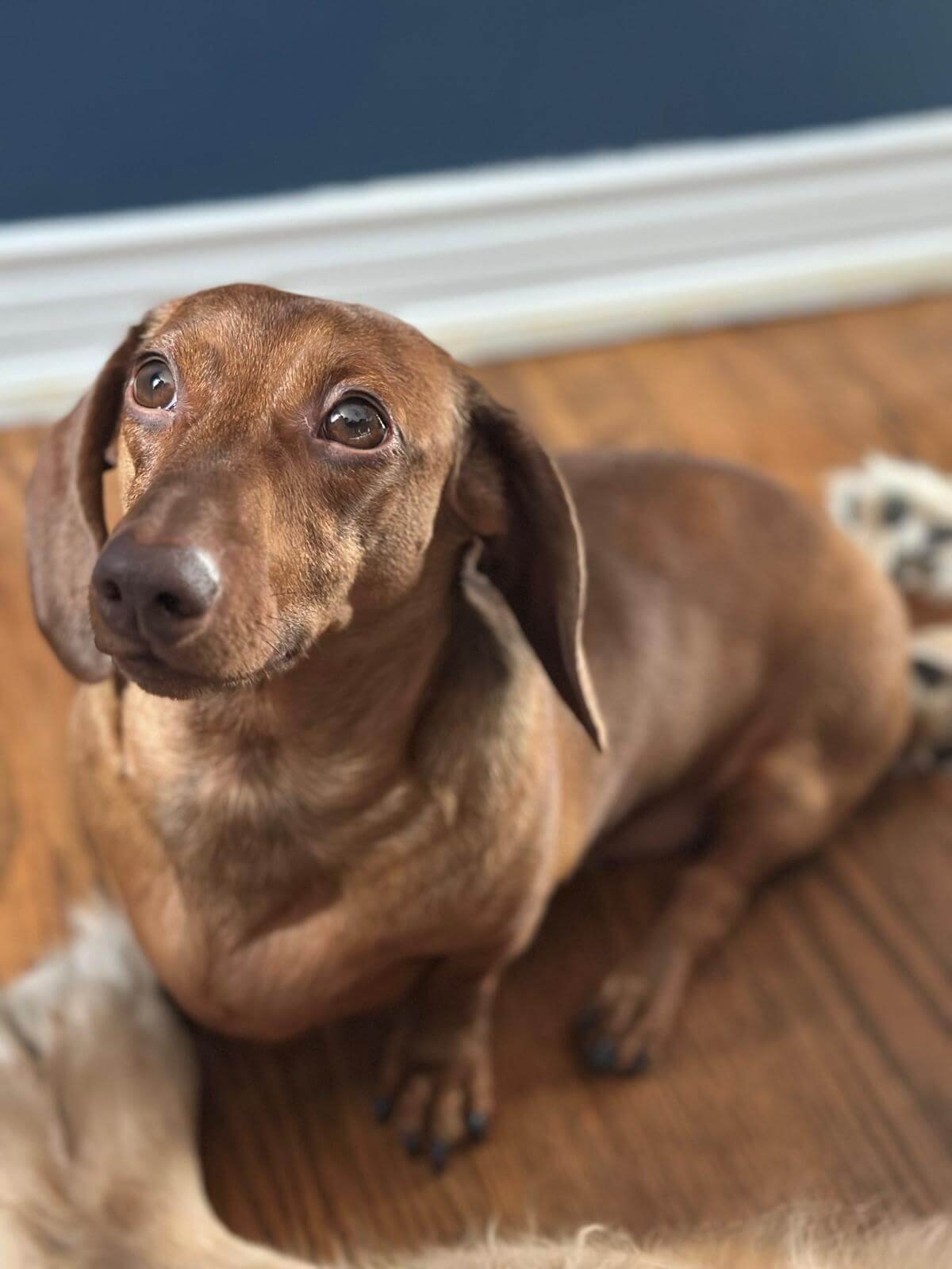 WhatsApp Image 2025-04-23 at 6.54.18 PM