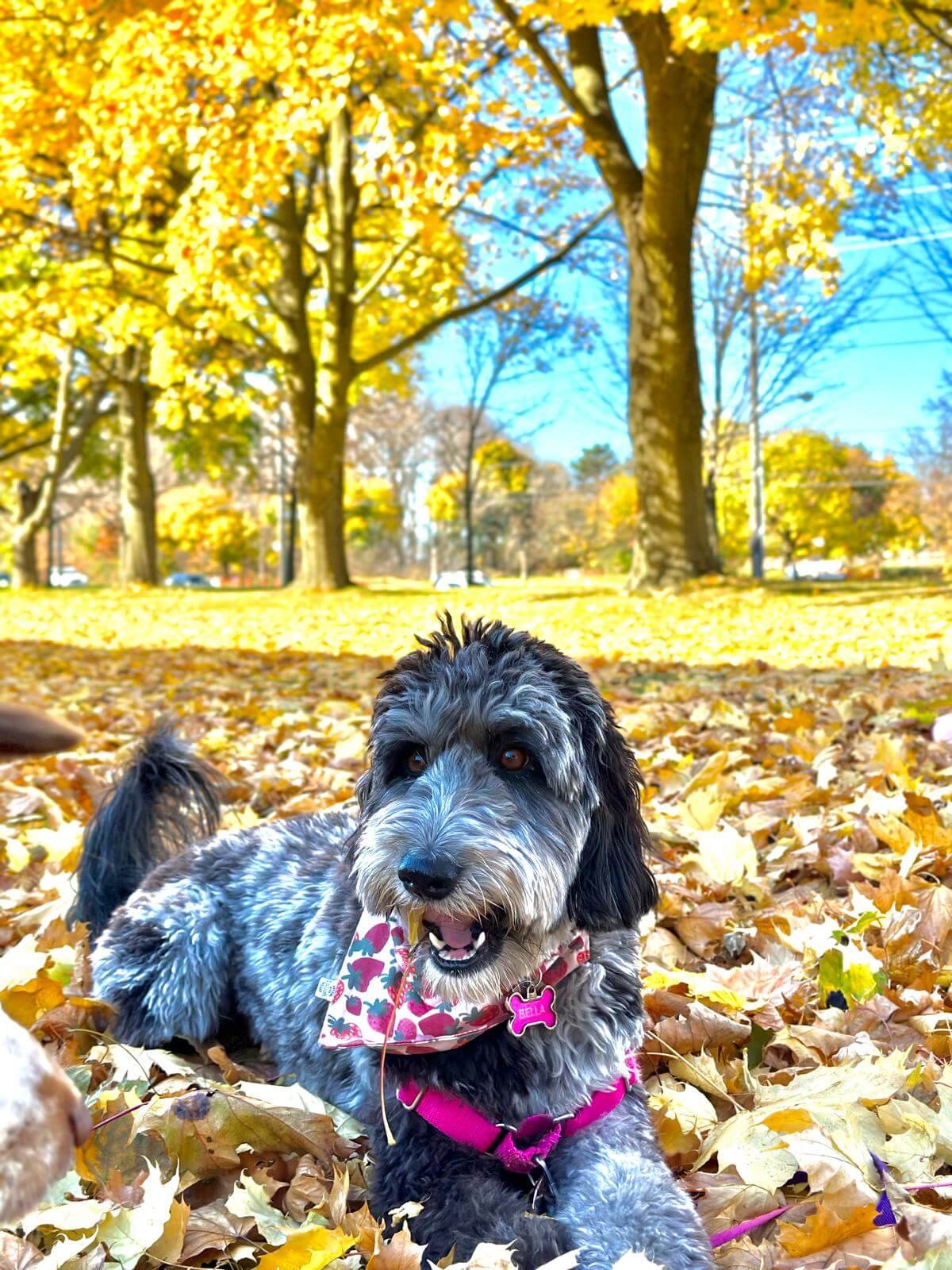 WhatsApp Image 2025-04-23 at 6.58.16 PM