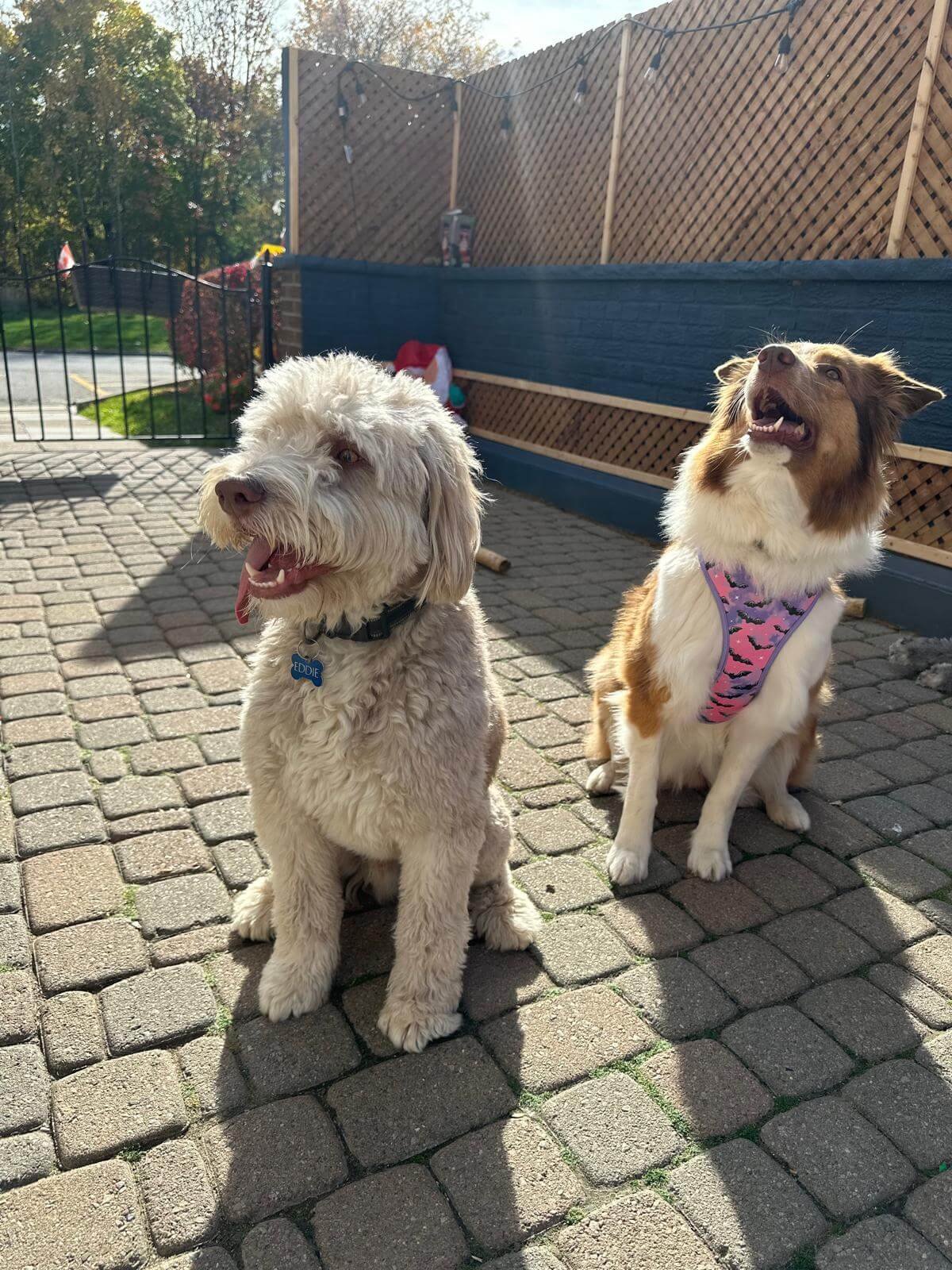 WhatsApp Image 2025-04-23 at 6.59.45 PM