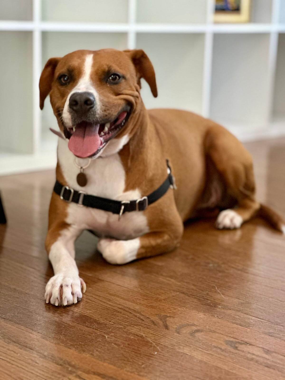 WhatsApp Image 2025-04-23 at 7.00.14 PM