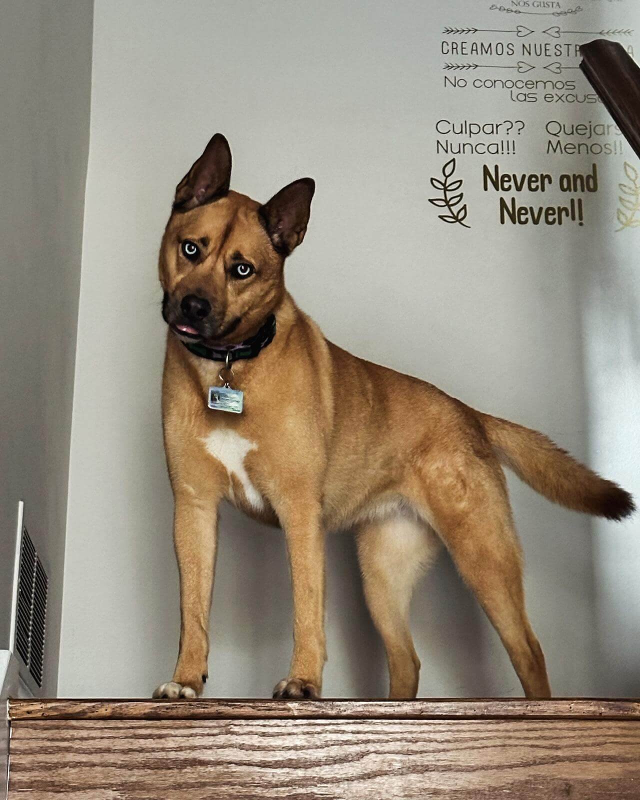 WhatsApp Image 2025-04-23 at 7.02.19 PM