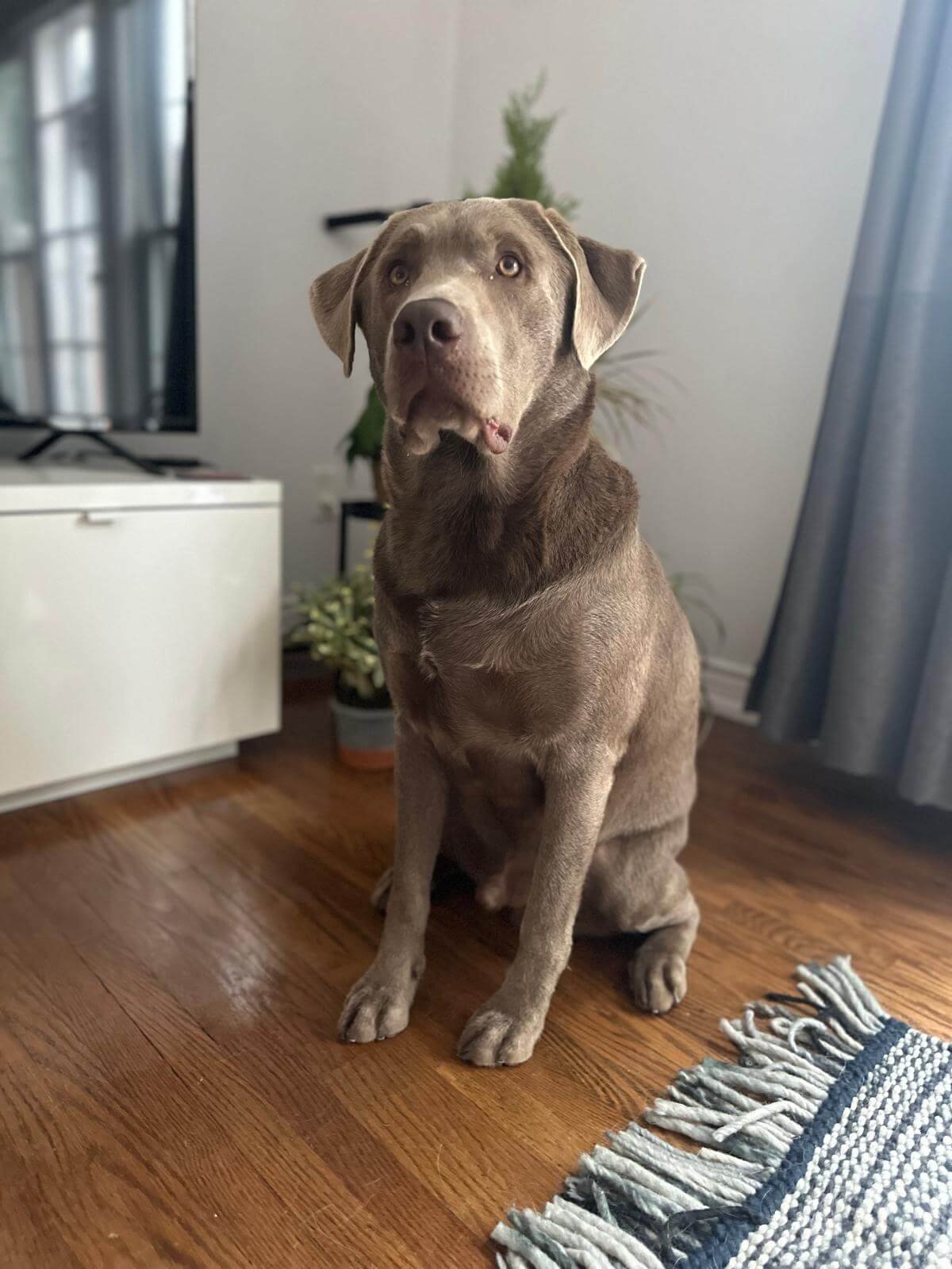 WhatsApp Image 2025-04-23 at 7.03.05 PM