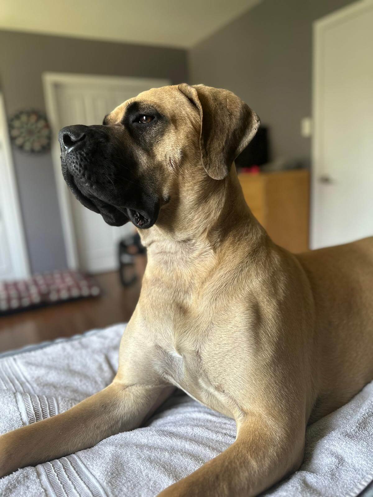 WhatsApp Image 2025-04-23 at 7.03.33 PM