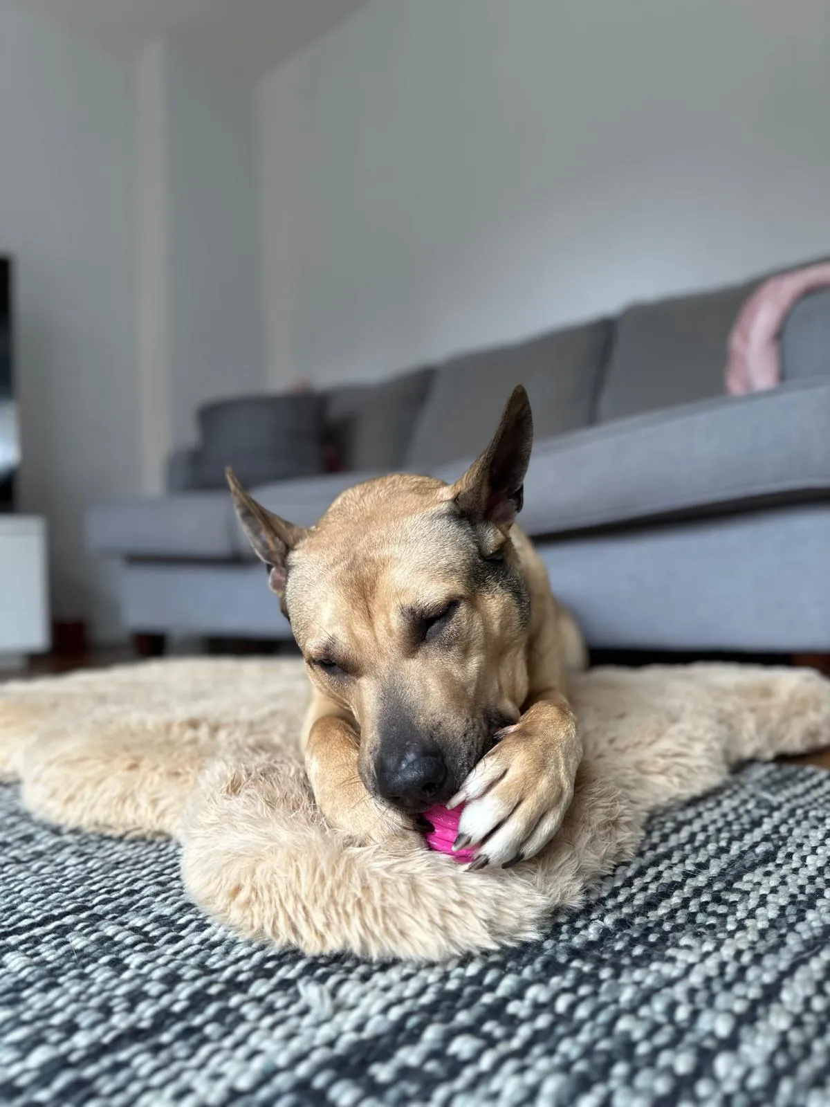 WhatsApp_Image_2025-04-23_at_6.41.50_PM